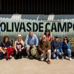 Entre Olivos y Bodegas de Tierra de Campos